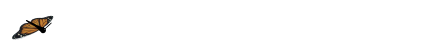 重庆火锅